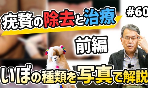南瓜糖水功效与作用-南瓜糖水功效网 | 南瓜糖水怎么做好吃,南瓜糖水放什么糖最好